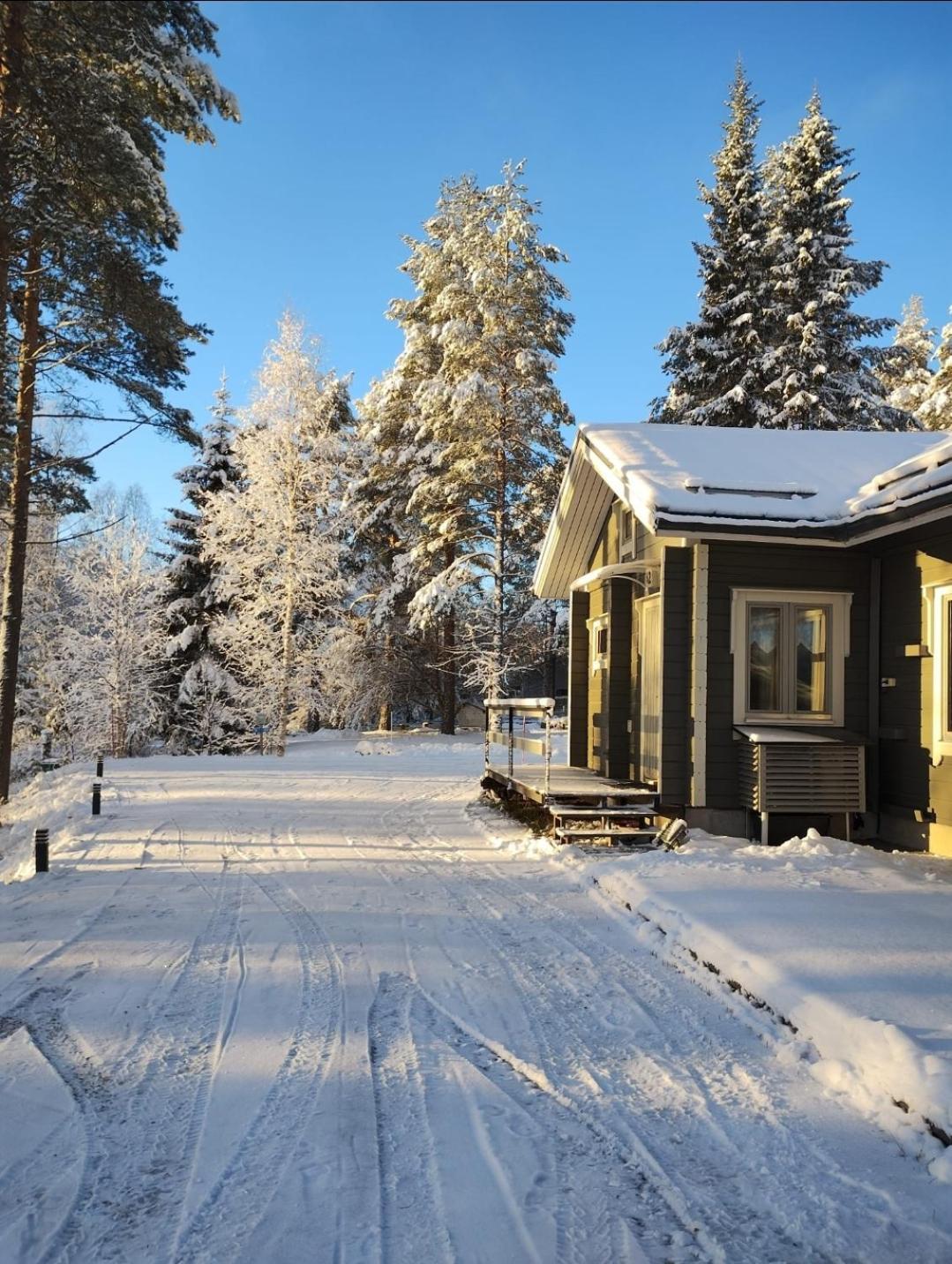 Villa Aleksi With Sauna روفانييمي المظهر الخارجي الصورة